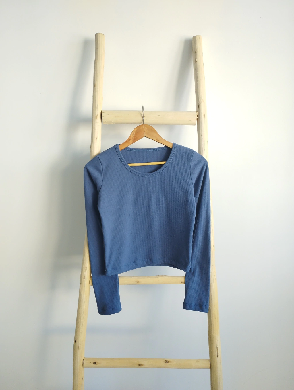 Remera MANGA LARGA Mònaco escote redondo varios colores tela morley talles del M-L
